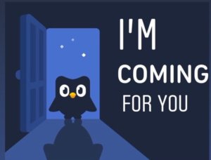 Duolingo owl meme