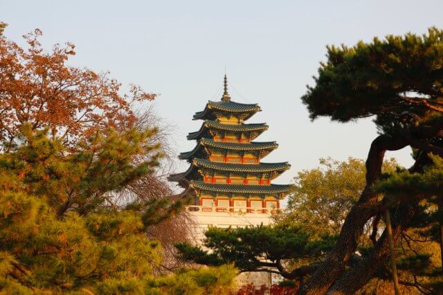 Gyeongbokgung Palace in Seoul surrounded by trees