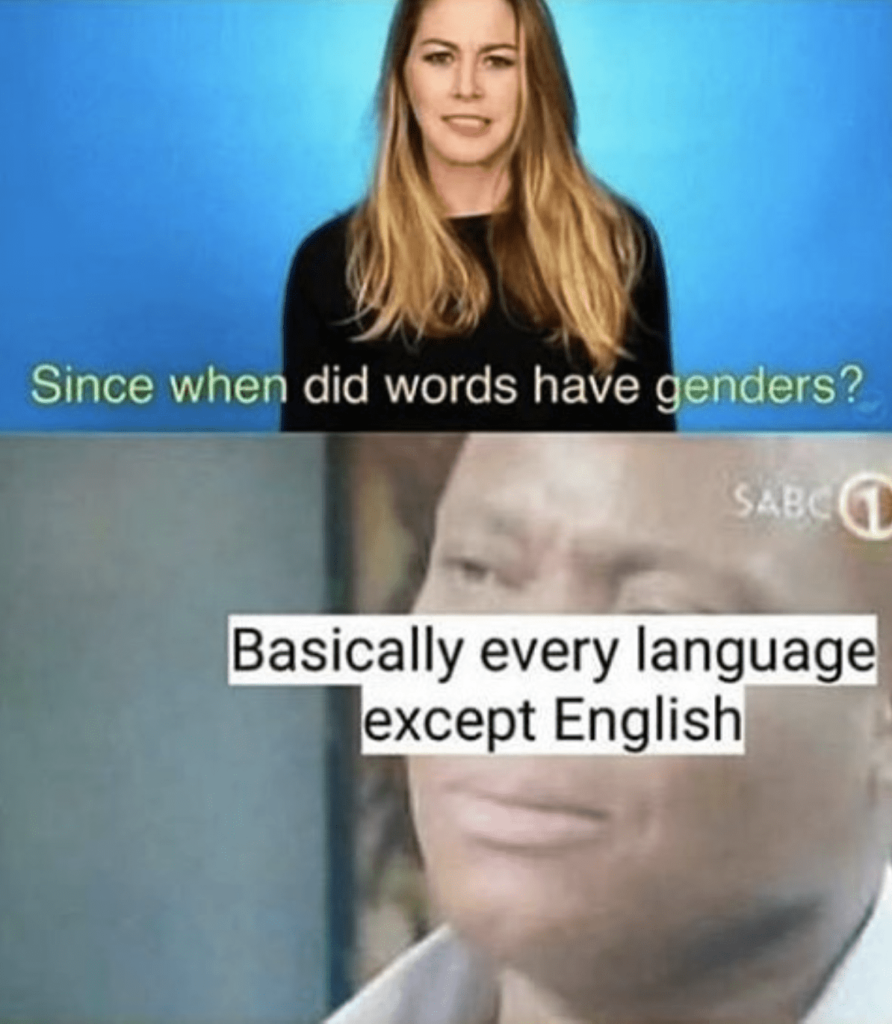 A woman stands in front of a blue backdrop and asks: "since when did words have genders?" Below her, a man stands in disbelief at her comment.