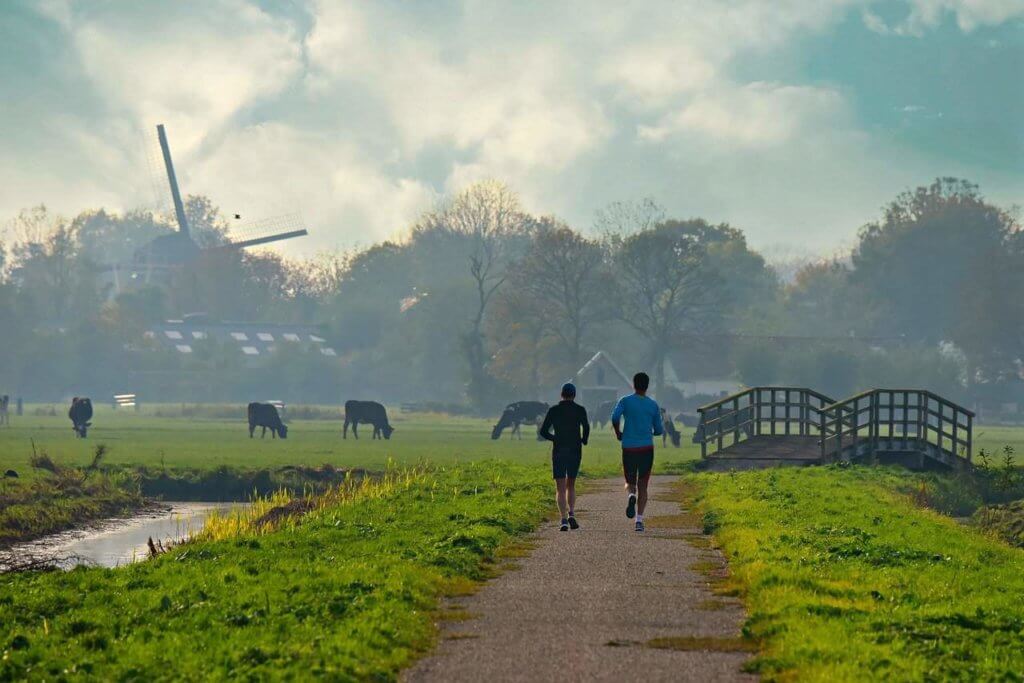 Two runners jog along a dirt path framed by green fields where cows pasture and a windmill stands tall