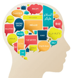 illustration of the language learning brain