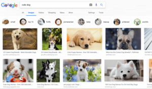 Setting up Google Images for Language Learning