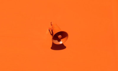 orange megaphone against an orange backdrop