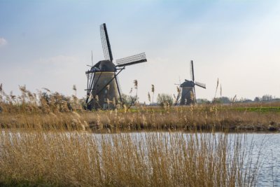 windmills in a Dutch landscape